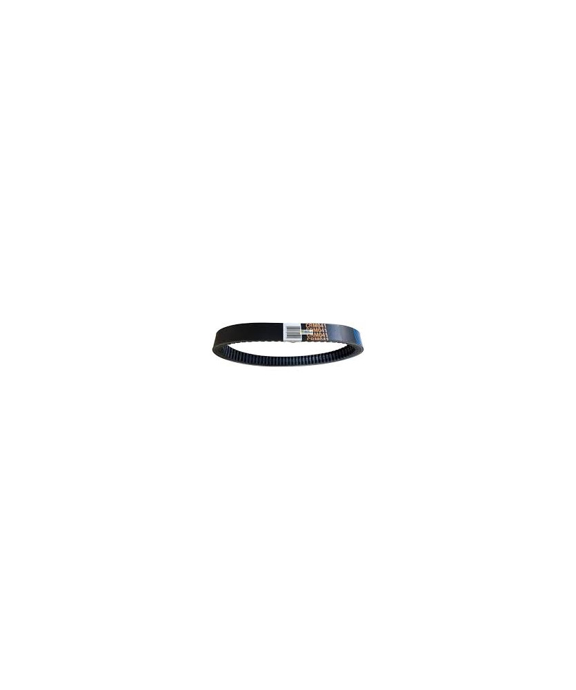 CINGHIA BD522167