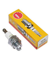 CANDELA BPMR8Y