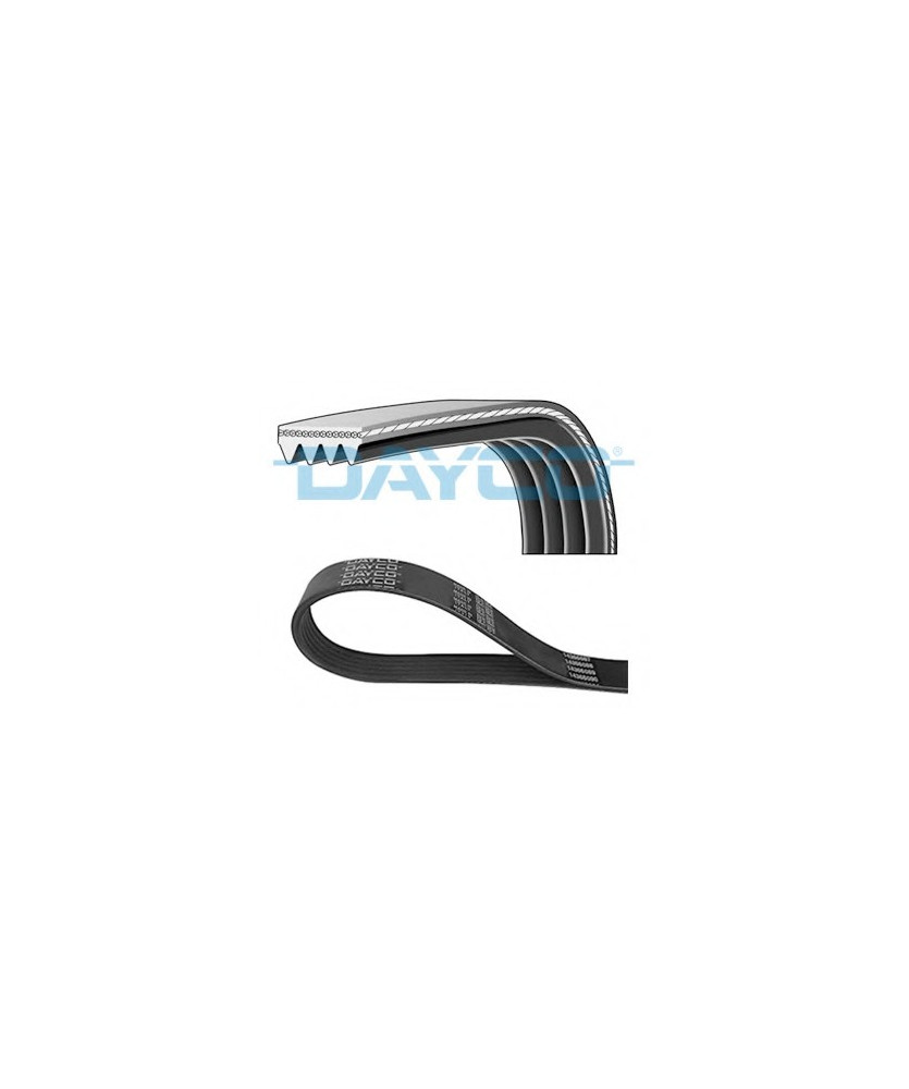 Cinghia Poly-V