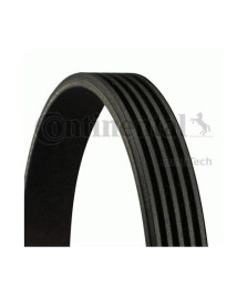 CINGHIA    5 PK 1815  O 2.5 TD