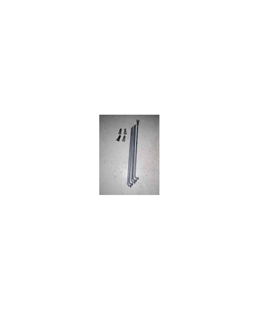 RAGGI RUOTA POSTERIORE BOXER 155X3MM