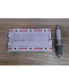 CANDELA RA8HC