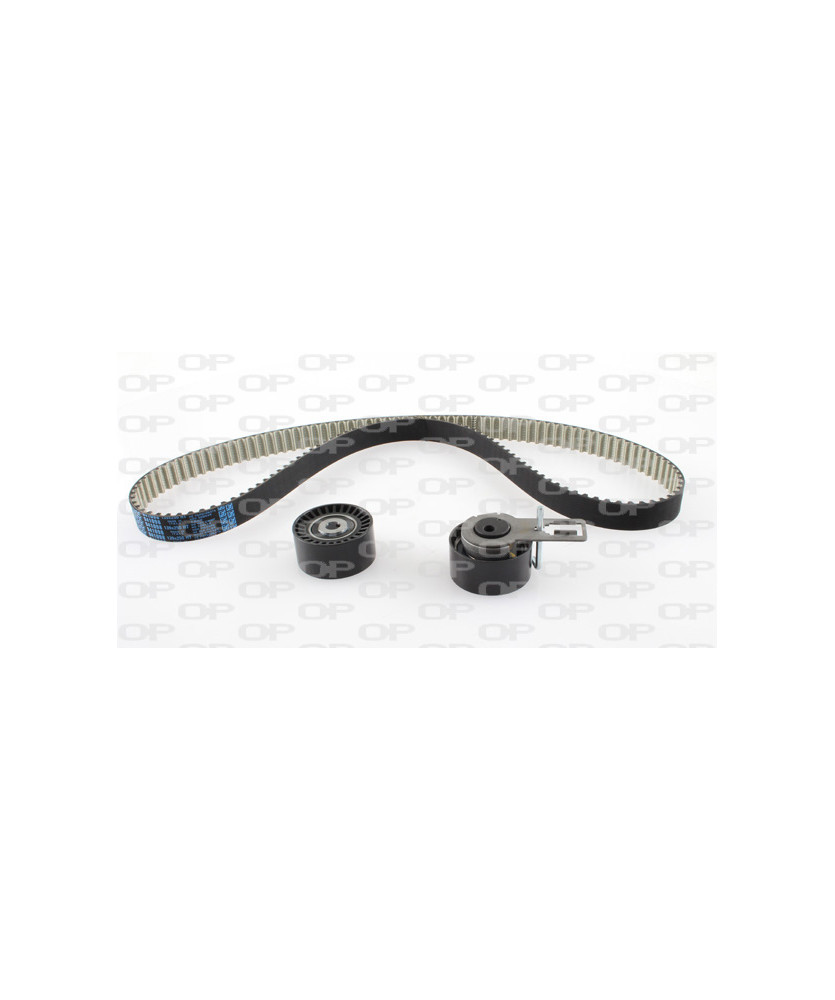 KIT DISTRIBUZIONE INA - PEUT 207(06-)  C3 10/2009