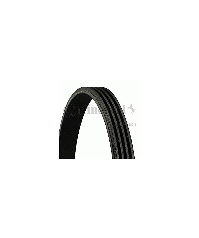 CINGHIA POLY-V