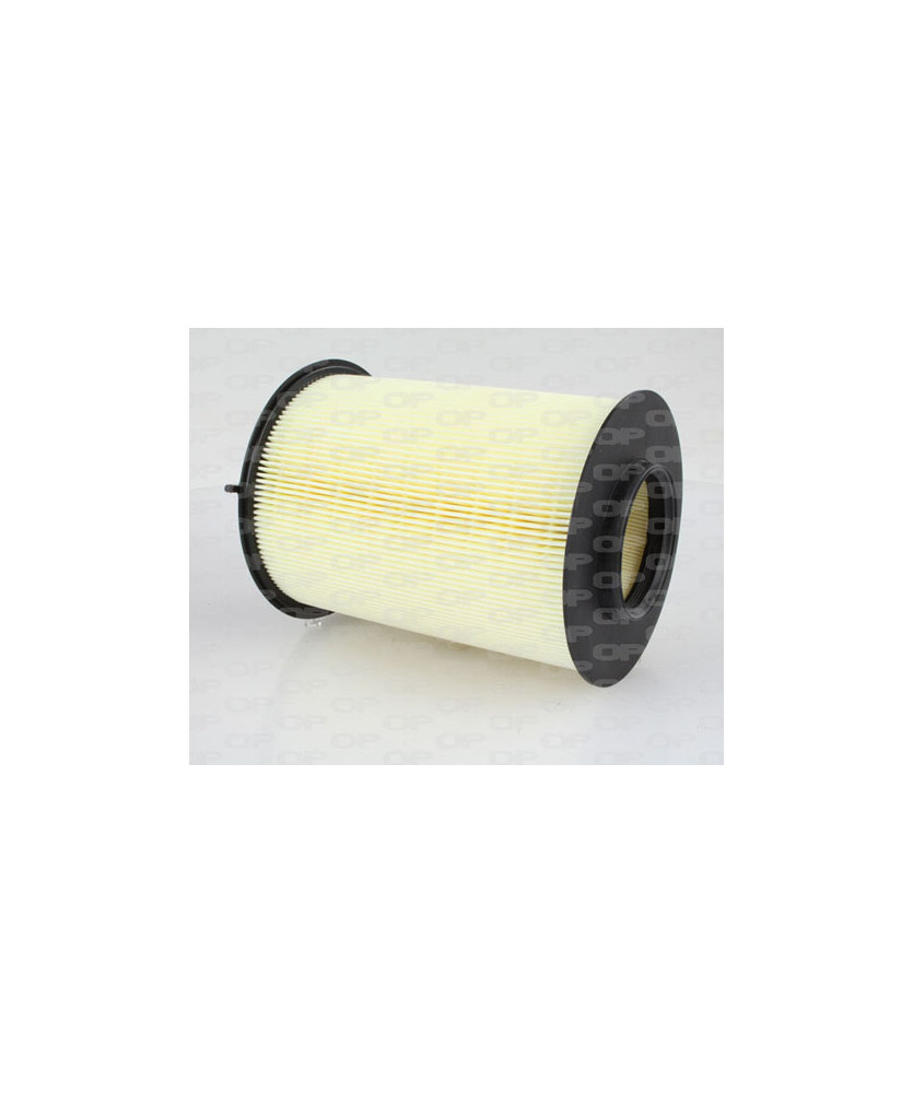 FILTRO ARIA  FOCUS II C-MAX