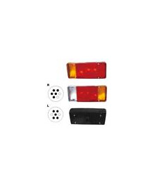 FANALE P/DX IVECO DAILY 04/00 04/06 CASS