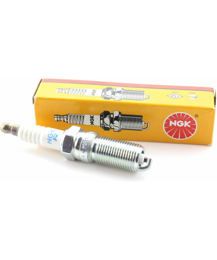 CANDELA BPMR6Y