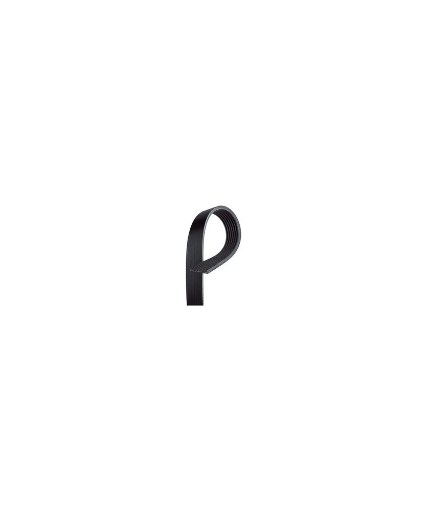 CINGHIA POLY-V AUTO 1.0 TCE 100