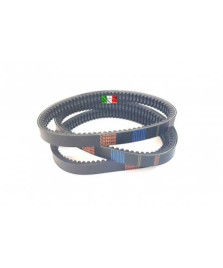 CINGHIA BD522172