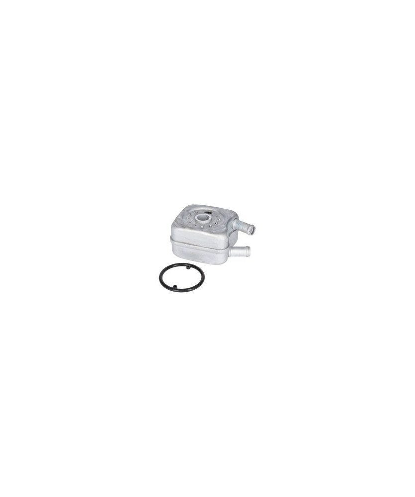 RADIATORE OLIO AUDI A3 96 03 AUDI A4 96