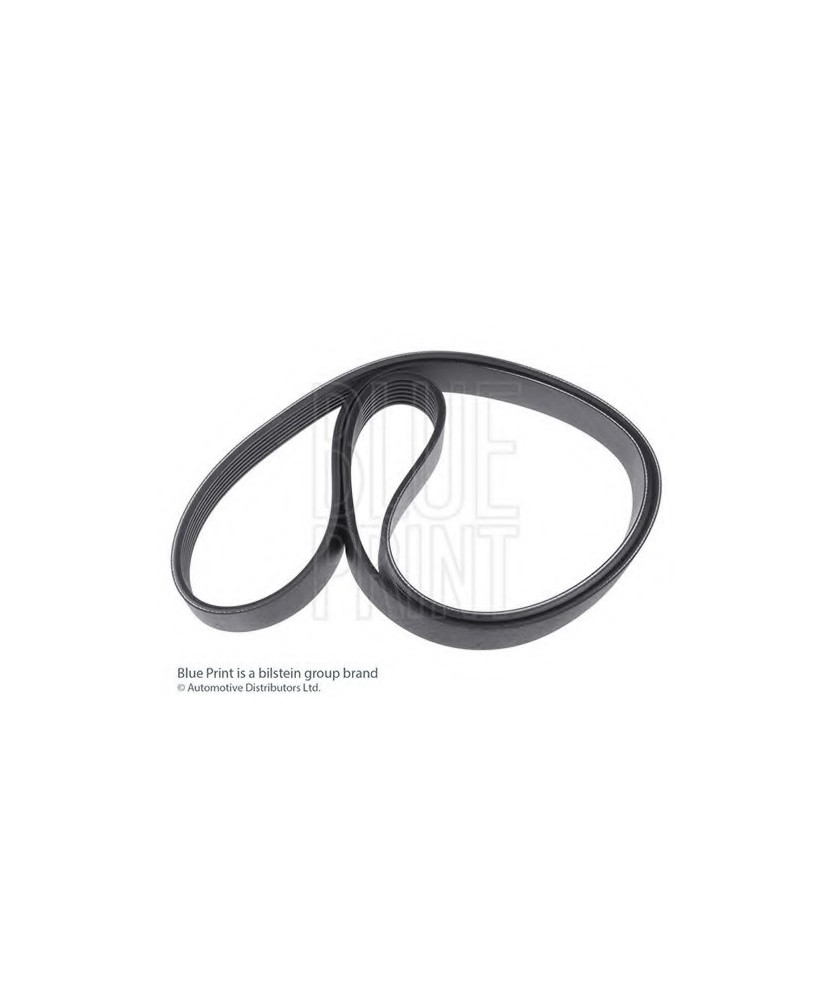 CINGHIA AUSILIARIA 7PK990