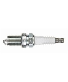 CANDELA RC10YCC