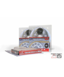 KIT CATENA CORONE E PIGNONE