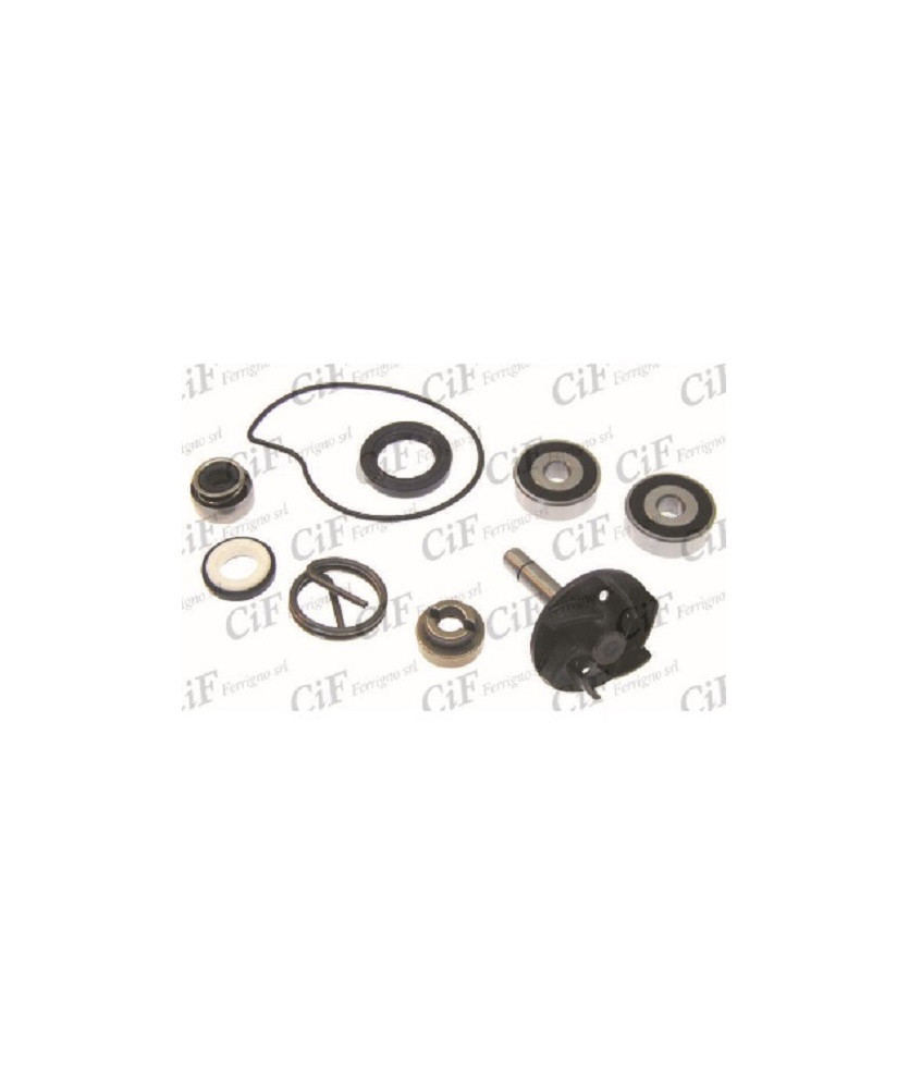 KIT REVISIONE POMPA QUA  BEVERL 250