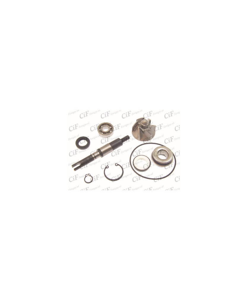 KIT POMPA QUA  125/150