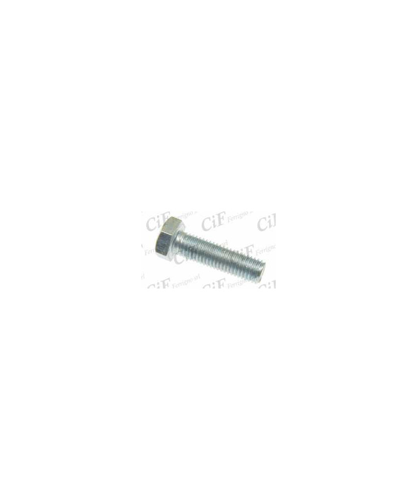 VITE TESTA ESAGONALE M 6X25