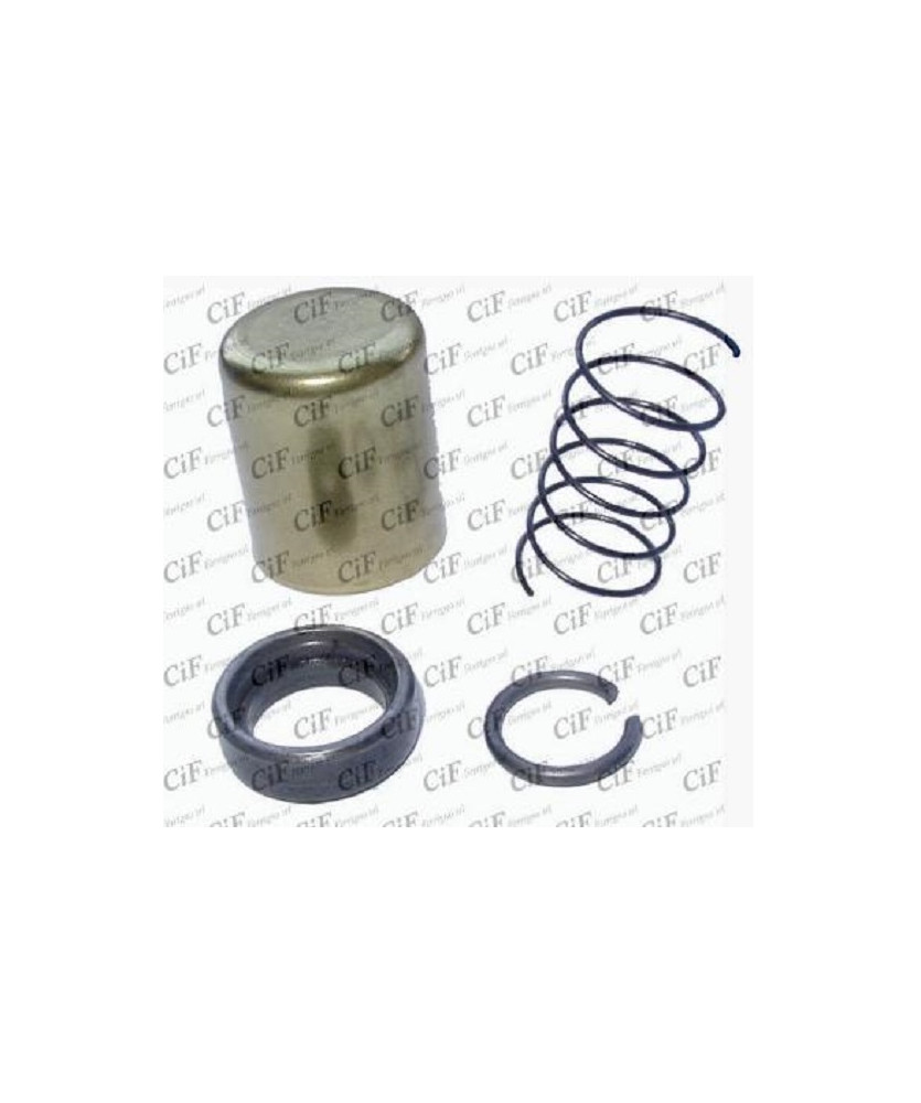 KIT REVISIONE MOTORINO COMPL.DI DISTANZI