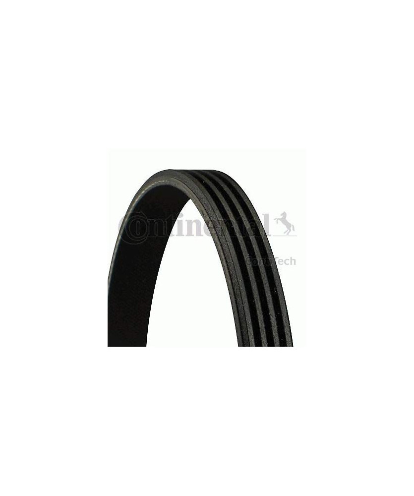 Cinghia Poly-V                           4 PK 1520  TRANSIT 2.5
