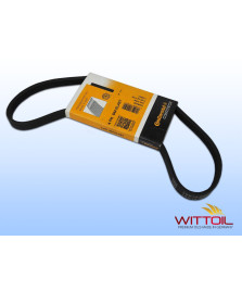 CINGHIA POLY-V ELASTICA
