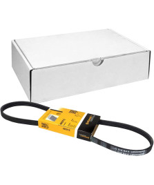 CINGHIA POLY-V 100 NX TIPO 1.4  1.6