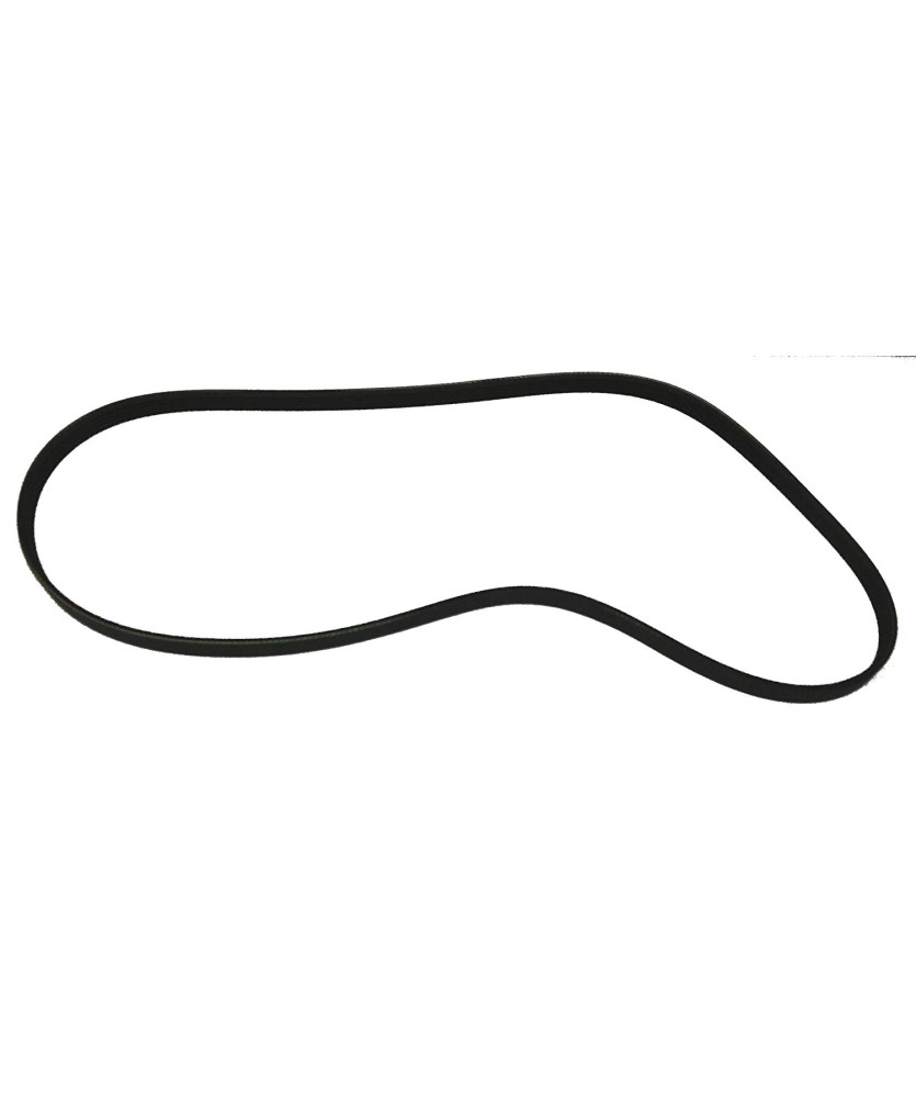 CINGHIA POLY-V 5PK1200 MICRA 1.5 DCI 03