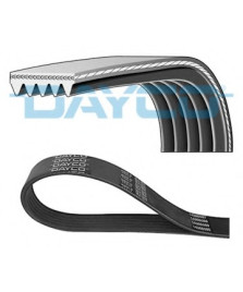 Cinghia Poly-V