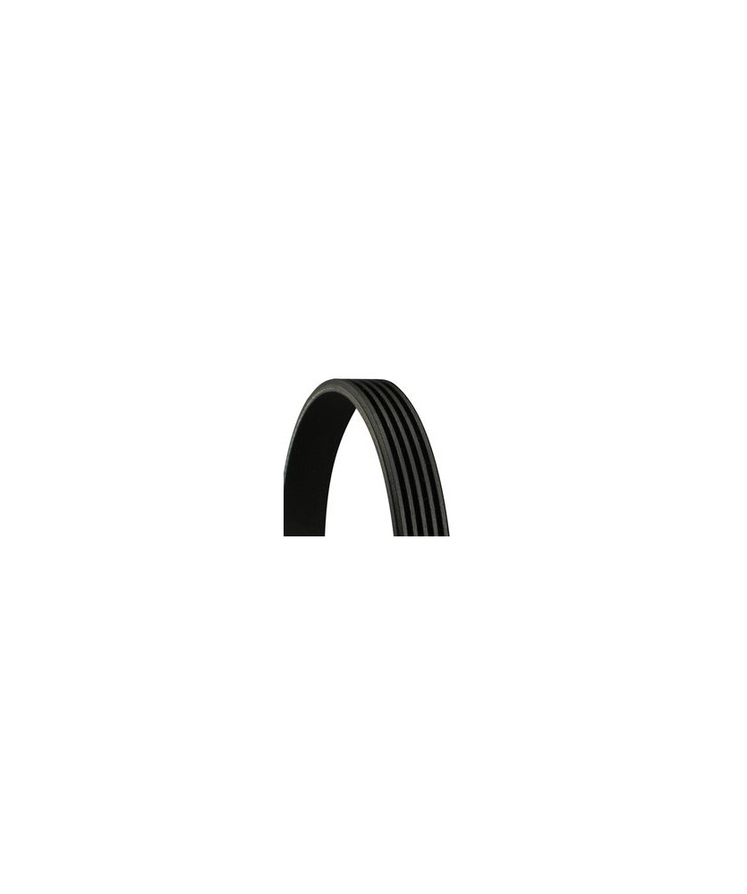 Cinghia Poly-V MCC  0 8 CDI
