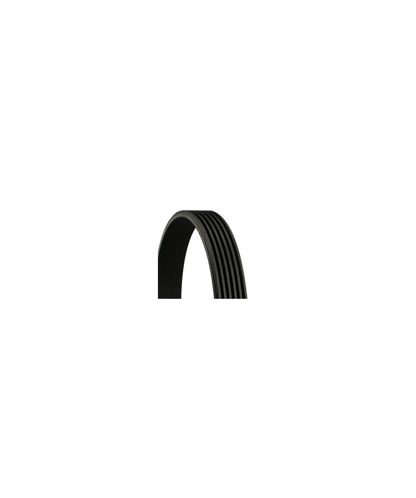 CINGHIA POLY-V 6PK1090ELAST CITR C4 1.6D PEU 306 1.8