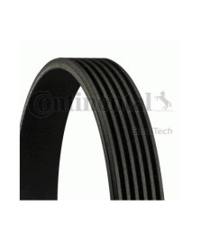 CINGHIA POLY-V  FOCUS C-MAX - 107 1.0
