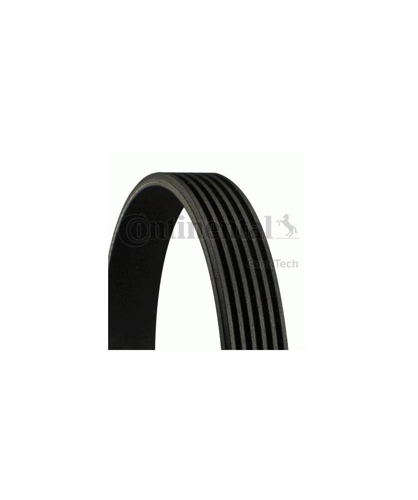 CINGHIA POLY-V  FOCUS C-MAX - 107 1.0
