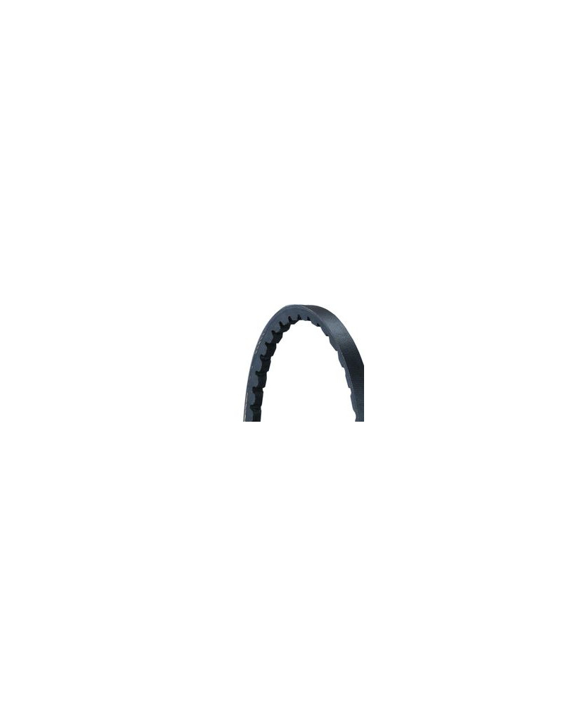 CONTITECH-CINGHIA TRAPEZOIDALE