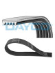 CINGHIA POLY-V DAYCO 962K5