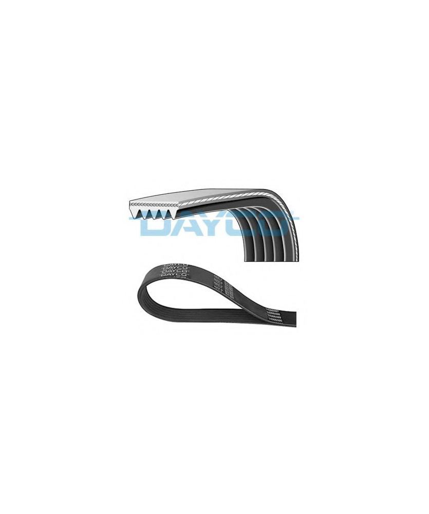 CINGHIA POLY-V DAYCO 962K5
