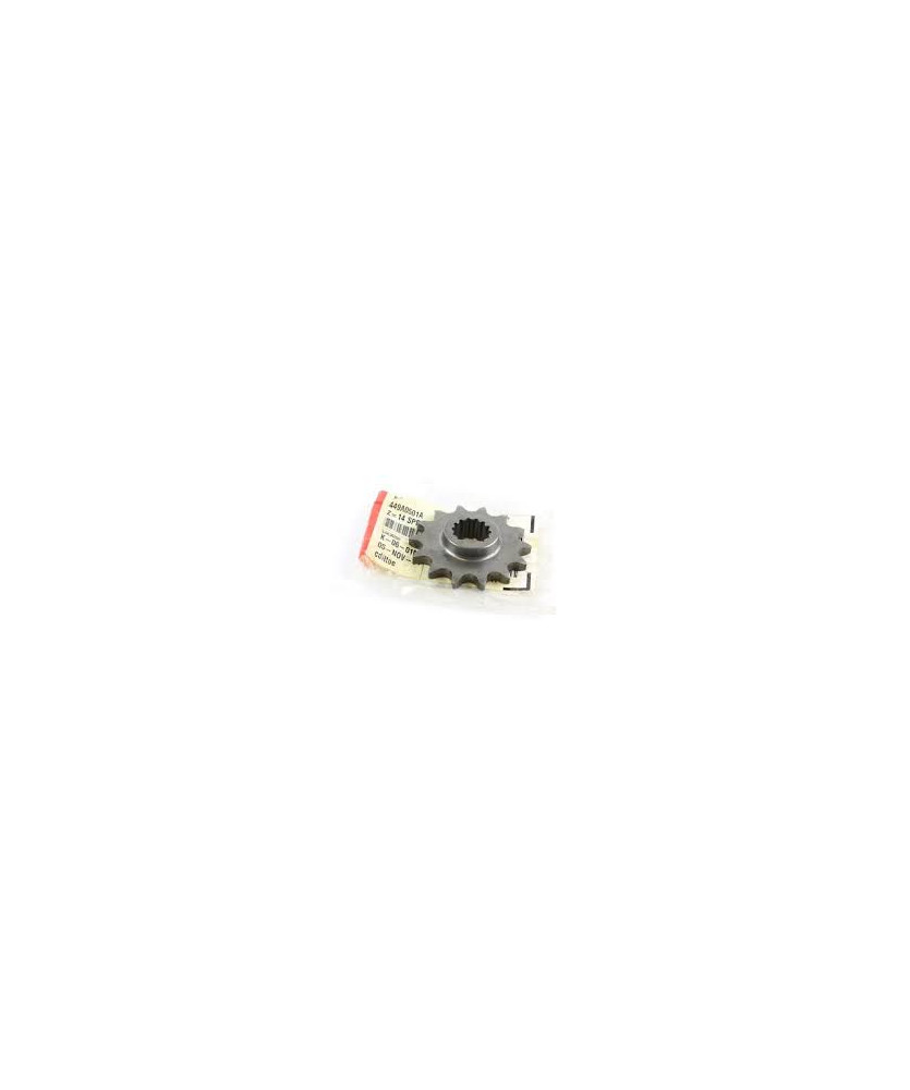 PIGNONE CATENA Z14 749 B/03