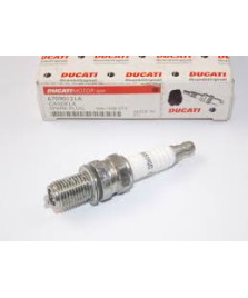 CANDELA RA59GC