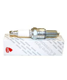 CANDELA RG4HC