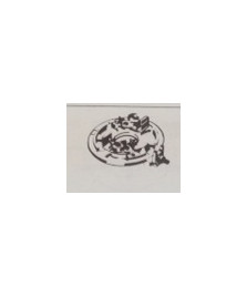 SUPPORTO L\COLLETTORE 850 M/M74996081