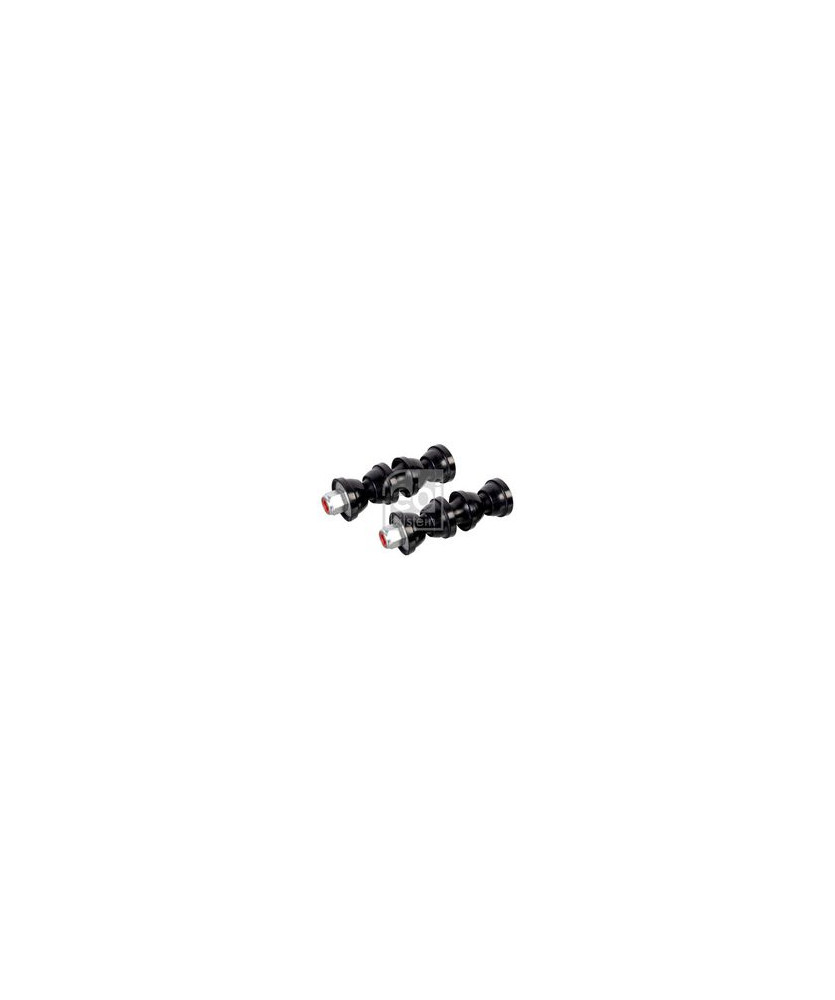 KIT PUNTONE BARRA STAB.POST.FOCUS/TT