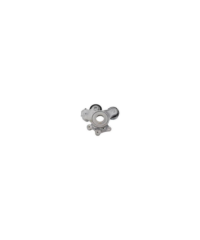 CUSCINETTO TENDICINGHIA COMPLETO PANDA31