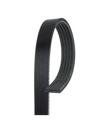 CINGHIA POLY RIB BELT 5PK1084H