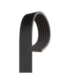 CINGHIA POLYV