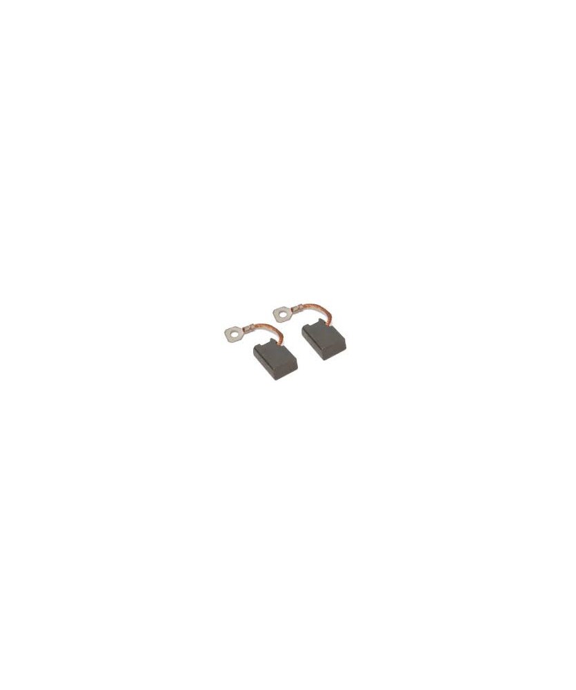 SERIE SPAZZOLE CARBONE 500D