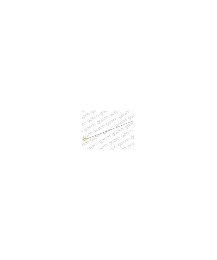 ASTINA OLIO  1.3 D