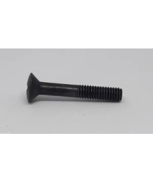 VITE PER COPERCHIO COMUTATORE VESPA T.T.