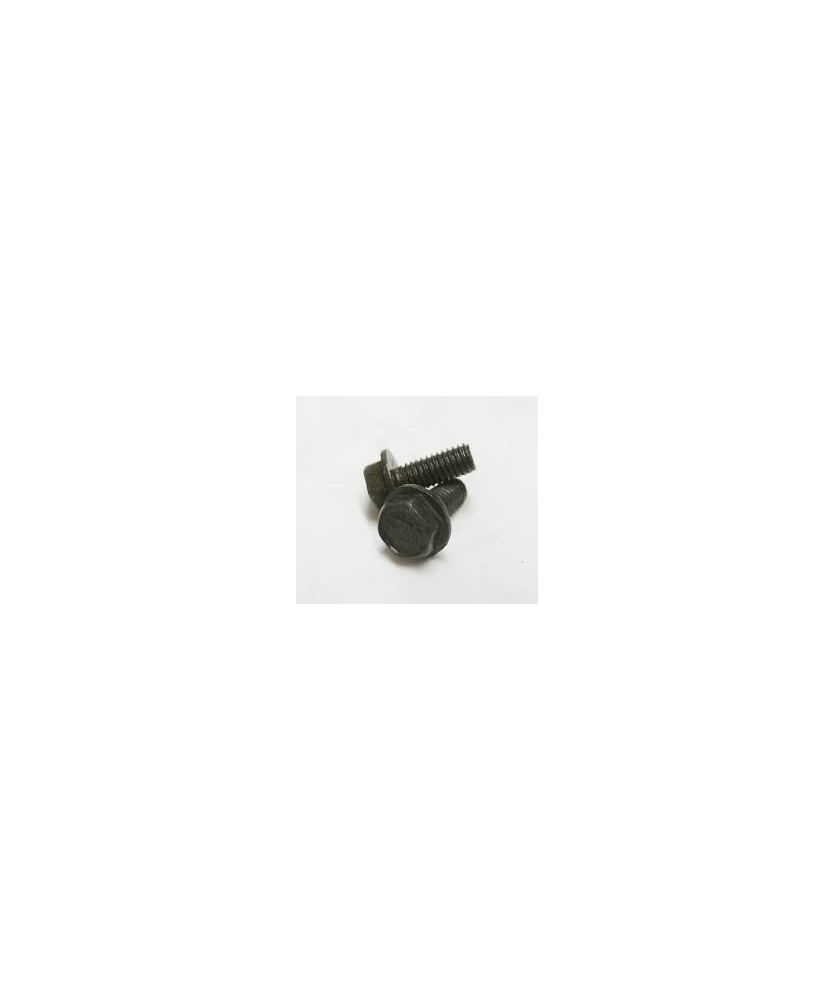 Bullone Flangiato 6X14 BLA