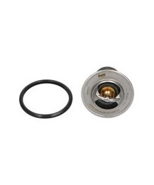 VALVOLA TERMOSTATICA CANTER 1996-05 2.8