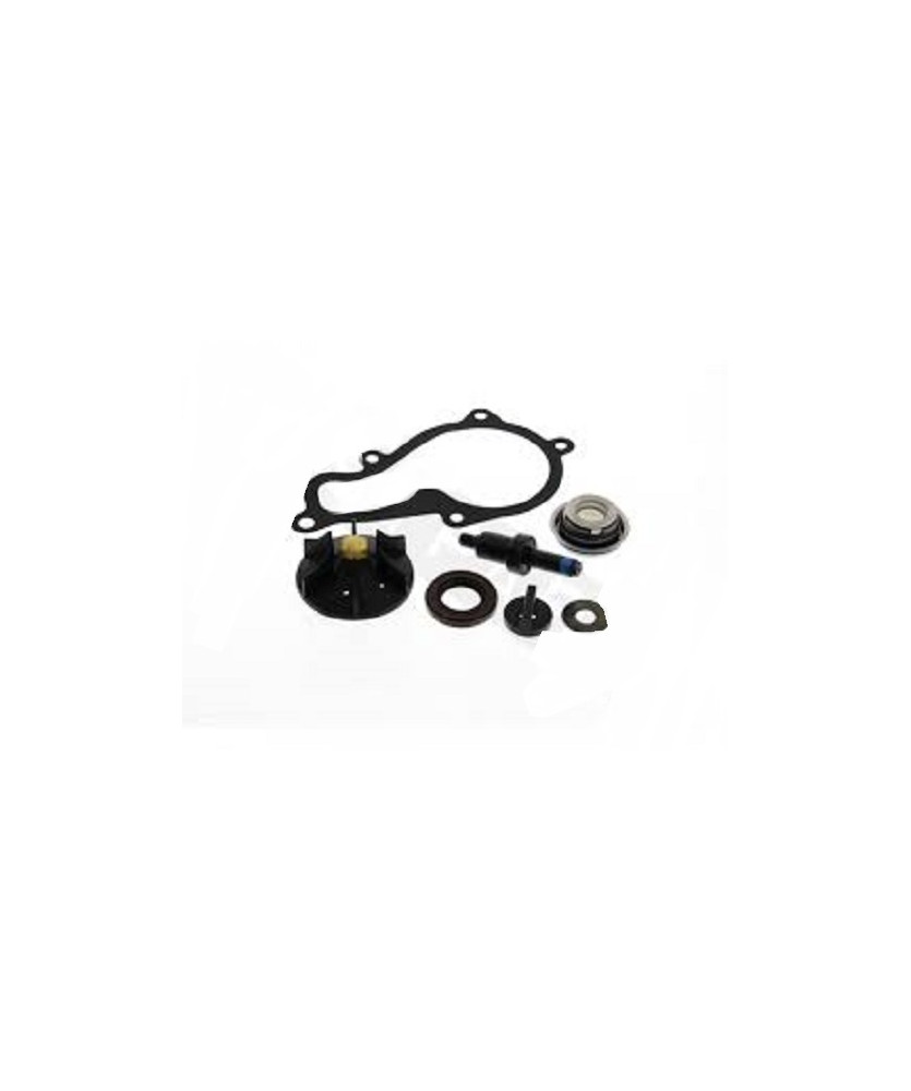 KIT REVISIONE POMPA QUA  BEVERLY 350