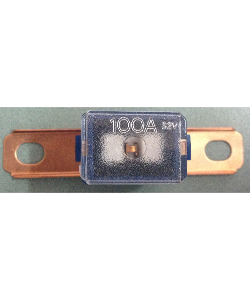 FUSIBILE PAL 100 Amp BLU