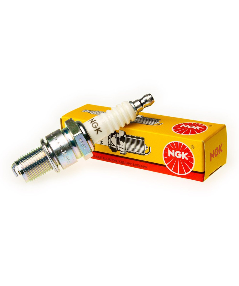 CANDELA BPR5ES-11