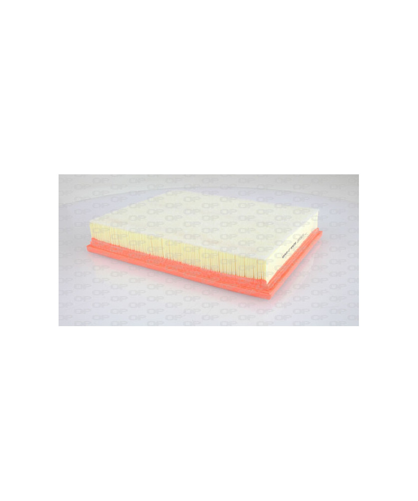 FILTRO ARIA -  X5 (E70) 35D            X5-X6